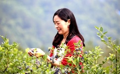 都市仙帝奶爸唐准柳婕言免费